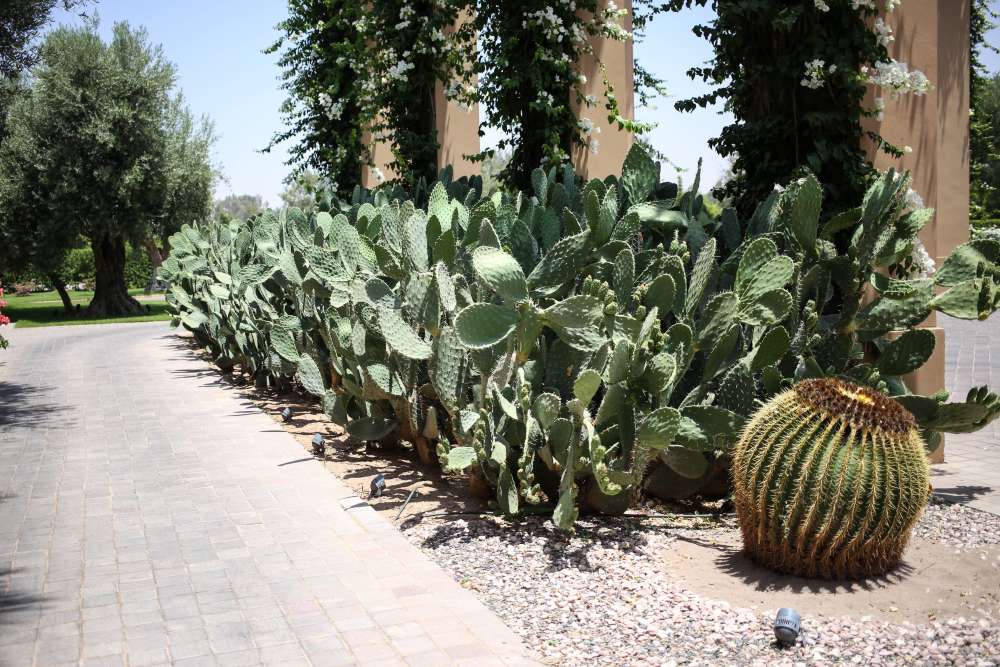 marrakech mandarin oriental the brunette blog mode voyage lifestyle paris-8